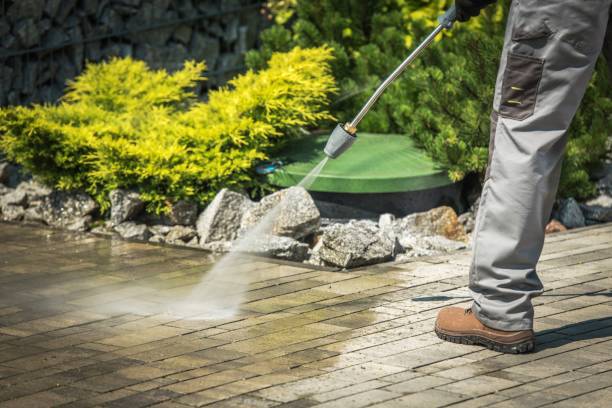 Best Driveway Cleaning and Restoration in West Peoria, IL