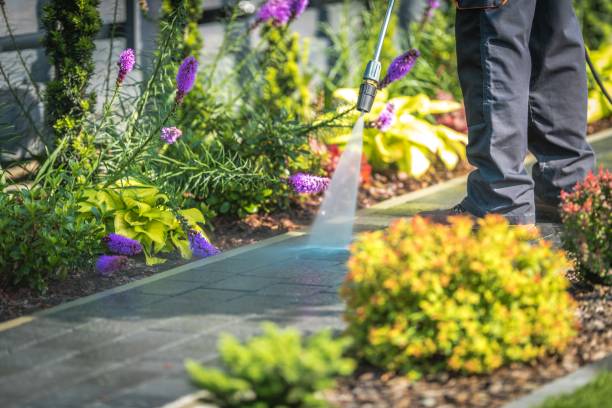 Best Deck and Patio Pressure Washing in West Peoria, IL