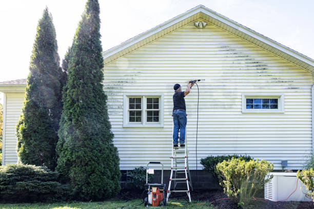 Best Fence Cleaning and Maintenance in West Peoria, IL